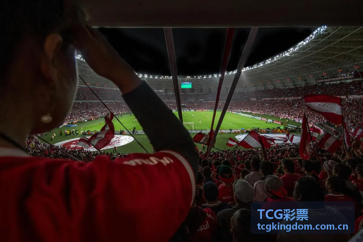 TCG彩票资深收藏家开盒场景